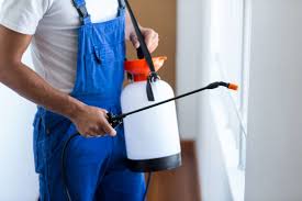 Emergency Pest Control Services in New Port Richey East, FL